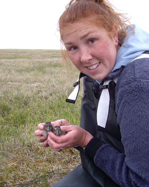 Tasha holds ducklings on the tundra.
