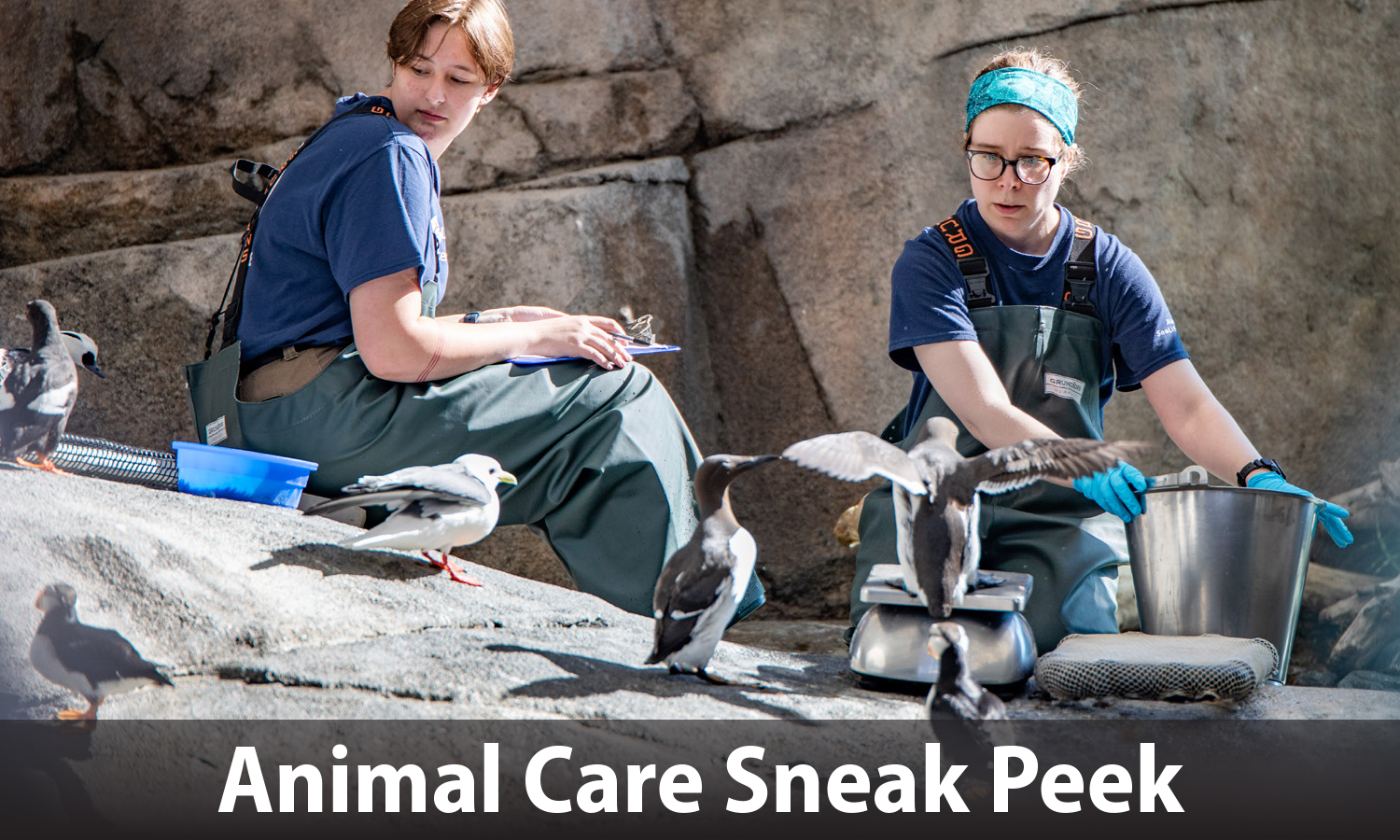 Animal Care Sneak Peek