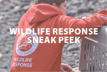 Wildlife Response Sneak Peek