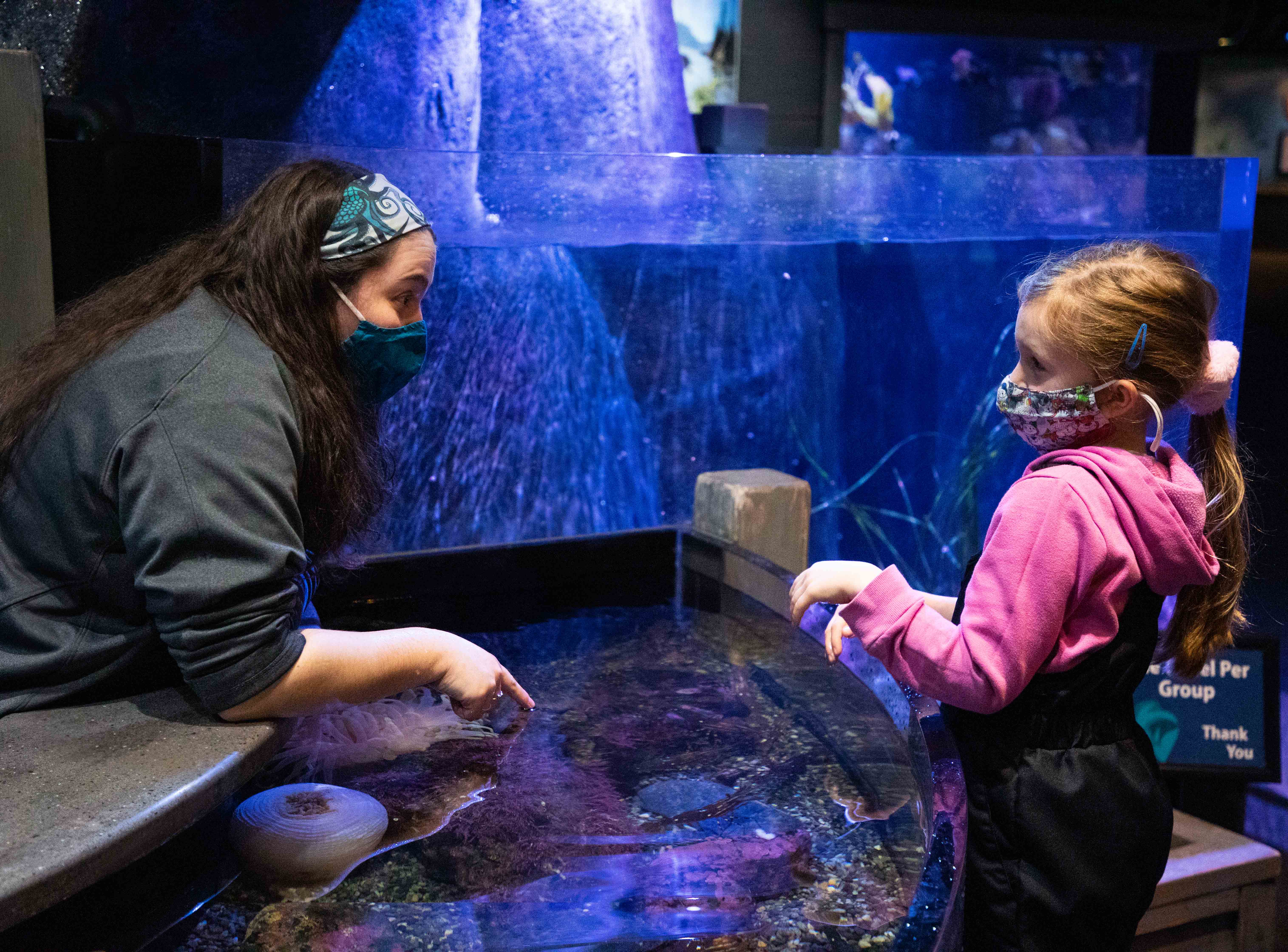 An education specialist shows a young girl intertidal species in the Discovery Touch pools at the Alaska SeaLife Center.