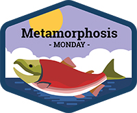 Metamorphosis Monday