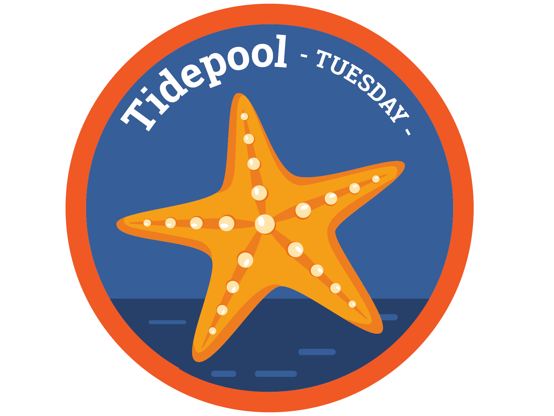 Tidepool Tuesday