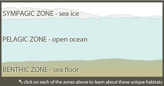 ocean habitats
