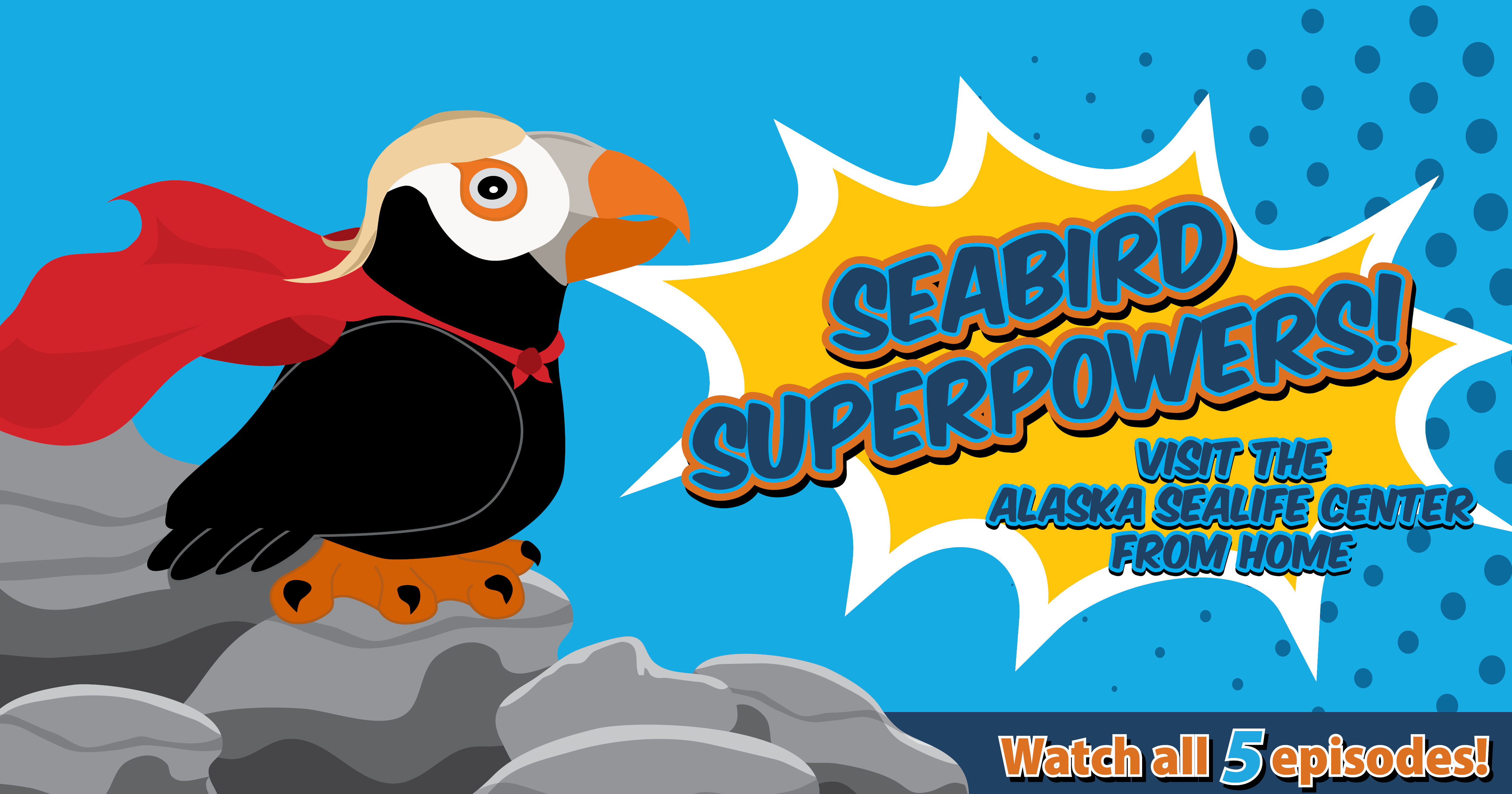 Seabird Superpowers