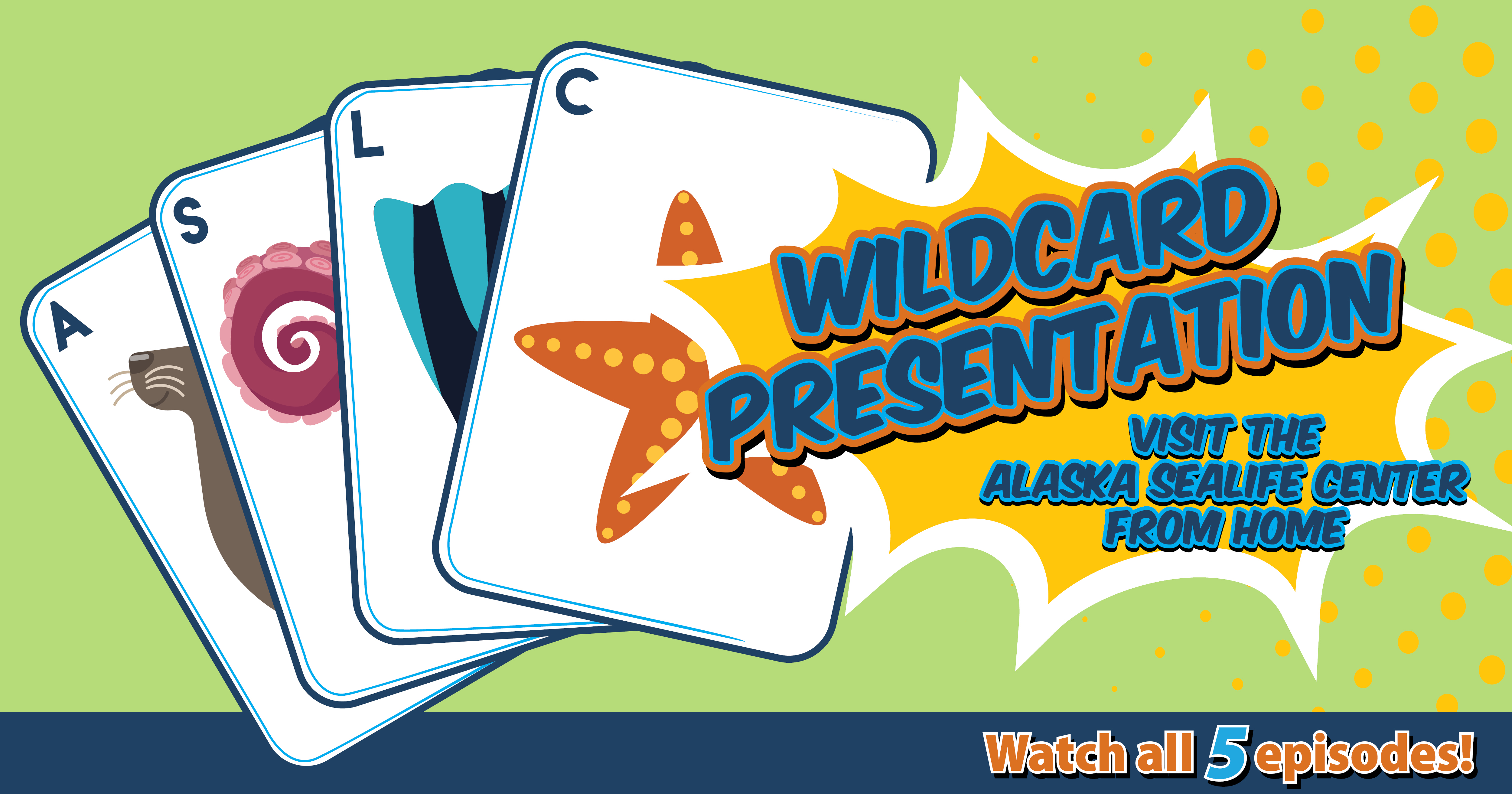 Wildcard Week